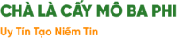 Chà là cấy mô Ba Phi