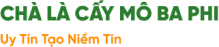 Chà là cấy mô Ba Phi