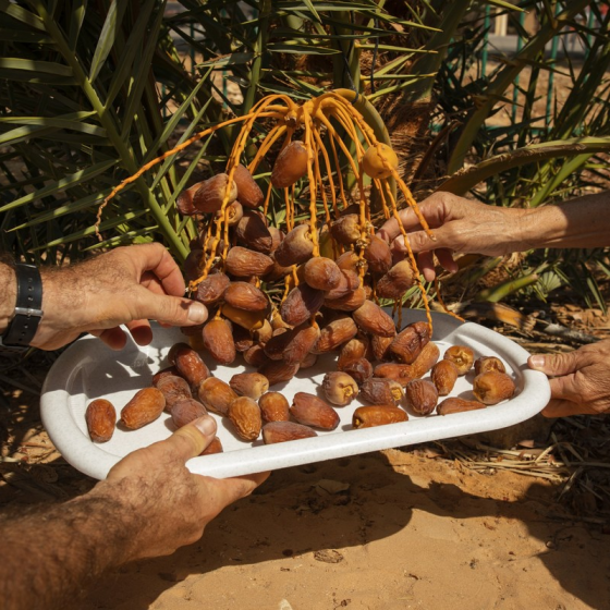 Gia đình chị Hương
