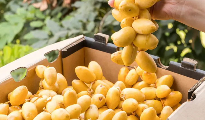 Tư vấn chuyên nghiệp tận tâm