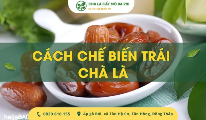 Bật mí 5 cách chế biến trái chà là ngon và bổ dưỡng