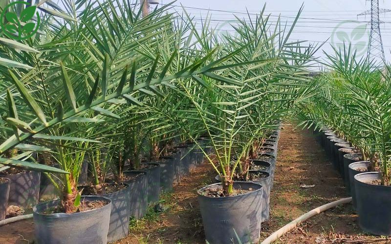 Giá bán hợp lý và minh bạch