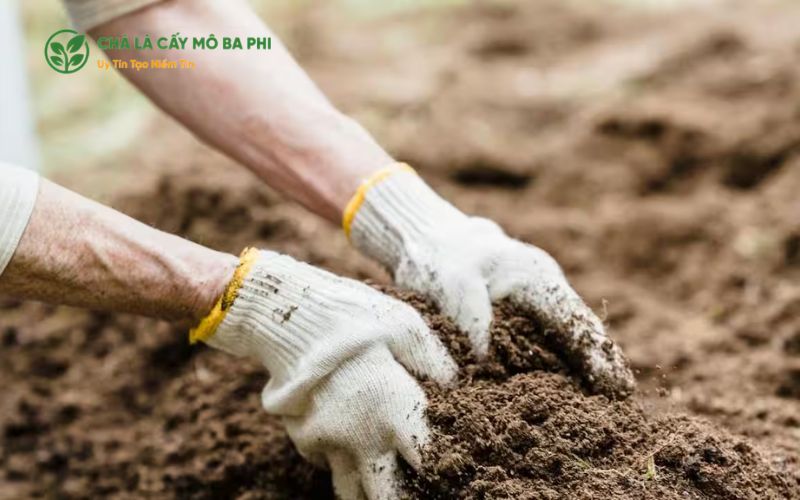 Kiểm tra độ tơi xốp của đất