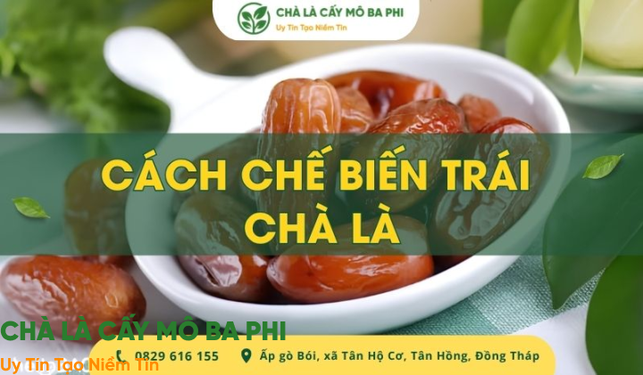 Bật mí 5 cách chế biến trái chà là ngon và bổ dưỡng